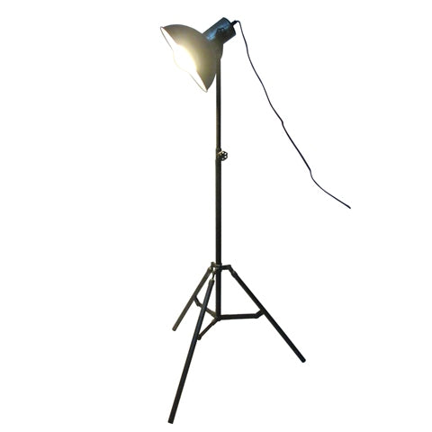 Iron Floor Lamp (R-4948)